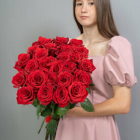 Роза эксплорер