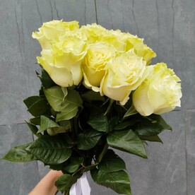 Роза мондиал