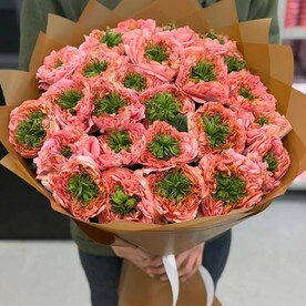 Роза Эквадор, Пленка корейская