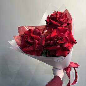 Красные французские розы 🌹