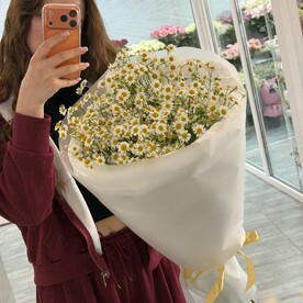 Букет ромашки М