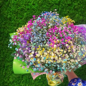 Микс гипсофилы