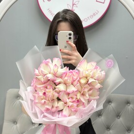7 французских роз