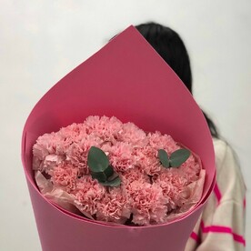 17 розовых диантусов