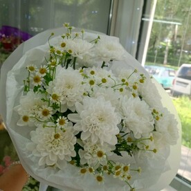 Кустовые хризантемы с ромашками