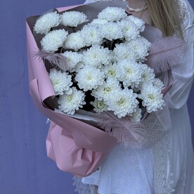 Хризантема кустовая, Перо, Стильная упаковка