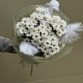 Нежность хризантем