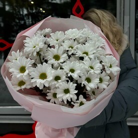 Ромашки