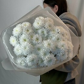 «Хризантема»