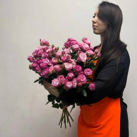 Роза леди бомбастик