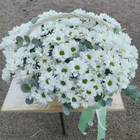 Корзина с хризантемой кустовой ромашка