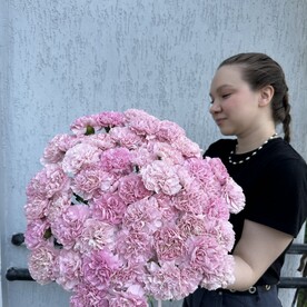51 нижние диантусов
