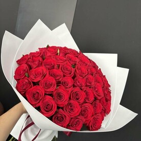 51 красная Роза в упаковке 50 см