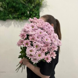 Хризантема кустовая шт, шт
