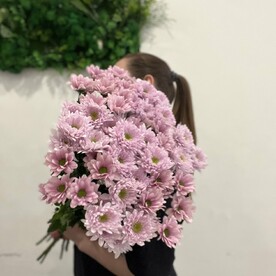 Хризантема кустовая шт, шт