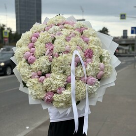 Пион сара бернард, Гортензия, Белый