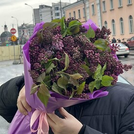 Сирень, Дизайнерская упаковка