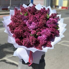 Сирень, Дизайнерская упаковка