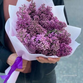 Сирень, Дизайнерская упаковка