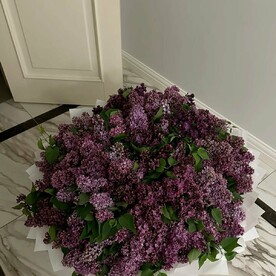 Сирень, Дизайнерская упаковка