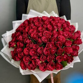 101 красная Роза