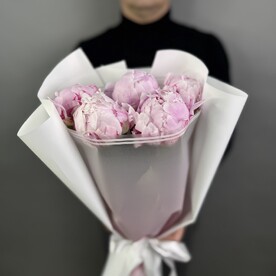 Пионы розовые Италия 5шт