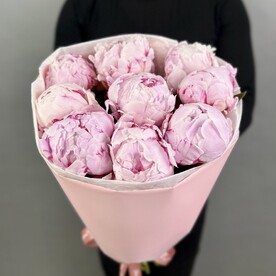 Пионы розовые Италия 9 шт
