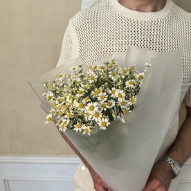 Букет из Ромашек, 9 шт
