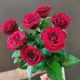 7 крупных бордовых роз