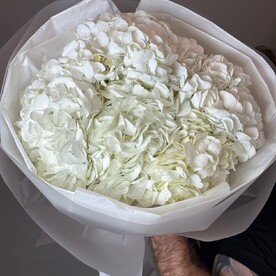 Монобукет из 5 белых гортензий