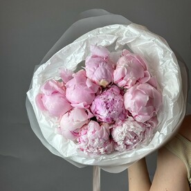 Монобукет из 9 розовых пионов