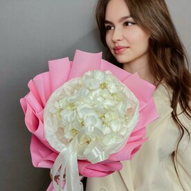 Гортензия, Тишью, Пленка дизайнерская