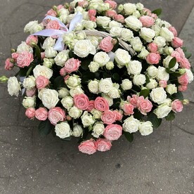 Бомбастик в корзине 81
