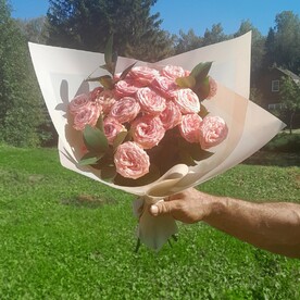 Роза кустовая, Рускус, Пленка матовая