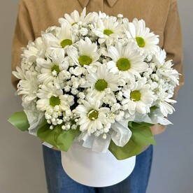 Хризантема кустовая, Тишью, Шляпная коробка, Оазис
