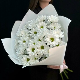 Хризантема кустовая, Дизайнерская упаковка