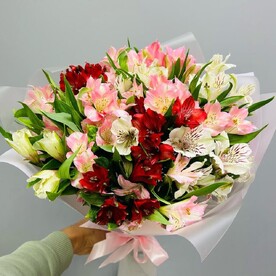 Альстромерия микс 15шт