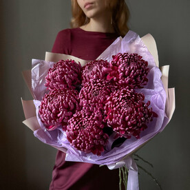 Букет из сезонных хризантем, 7шт. Veresk 289