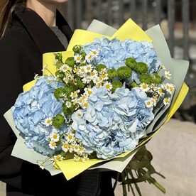 Гортензия, Хризантема кустовая, Ромашка, Пленка дизайнерская