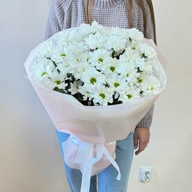 Букет из ромашковых хризантем 7 шт.