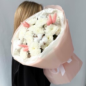 Кустовая хризантема с хлопком