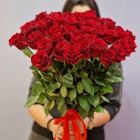 Роза красная