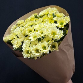 Сантини, Упаковка крафт