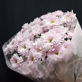 Букет из 9 кустовых хризантем