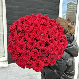 51 красная роза