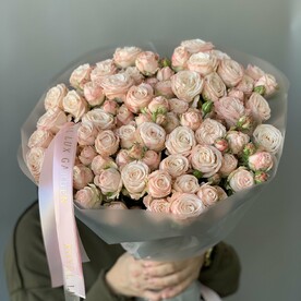 Роза бомбастик, Пленка матовая