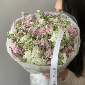 Маттиола кустовая