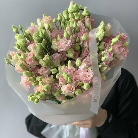 Лизиантус Эустома, Пленка матовая