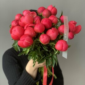 Пион корал сансет