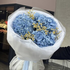 Гортензия и ромашка